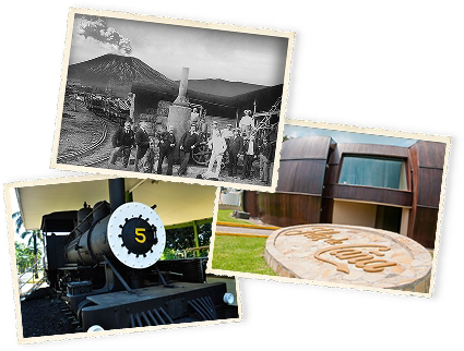 t:content.background_section